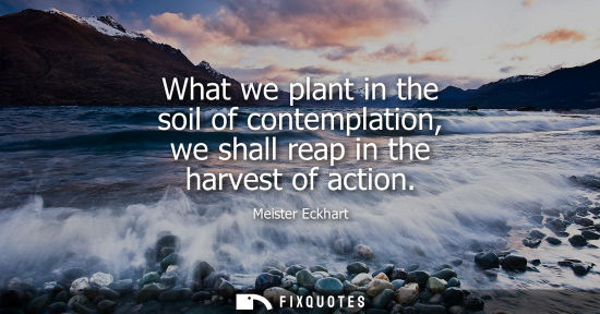 Small: What we plant in the soil of contemplation, we shall reap in the harvest of action