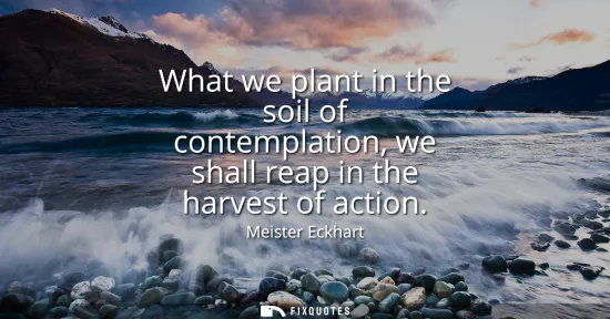 Small: What we plant in the soil of contemplation, we shall reap in the harvest of action