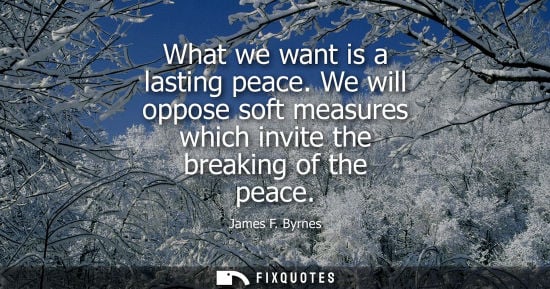 Small: What we want is a lasting peace. We will oppose soft measures which invite the breaking of the peace
