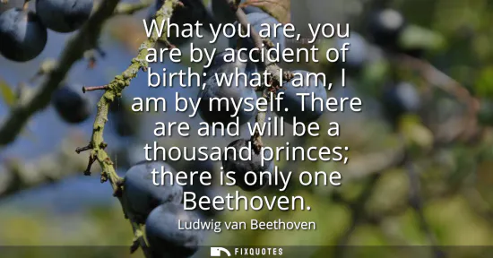 Small: What you are, you are by accident of birth what I am, I am by myself. There are and will be a thousand princes