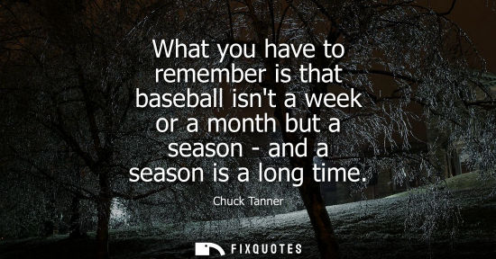 Small: What you have to remember is that baseball isnt a week or a month but a season - and a season is a long
