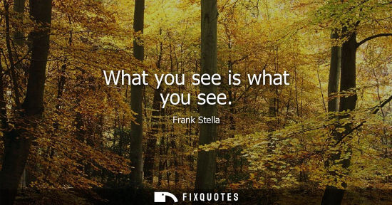 Small: What you see is what you see