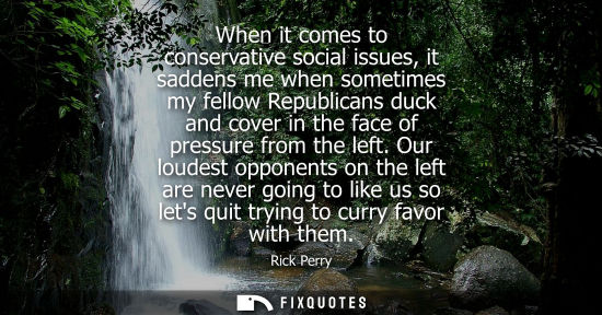 Small: When it comes to conservative social issues, it saddens me when sometimes my fellow Republicans duck an