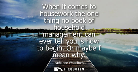 Small: When it comes to housework the one thing no book of household management can ever tell you is how to be