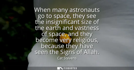 Small: When many astronauts go to space, they see the insignificant size of the earth and vastness of space, and they
