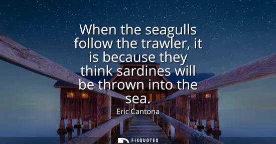 Small: When the seagulls follow the trawler, it is because they think sardines will be thrown into the sea