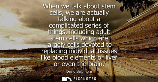 Small: When we talk about stem cells, we are actually talking about a complicated series of things, including 