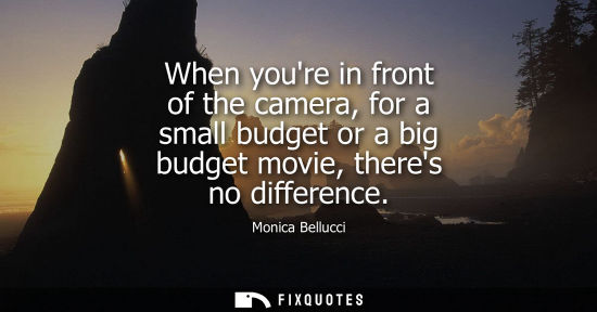 Small: When youre in front of the camera, for a small budget or a big budget movie, theres no difference