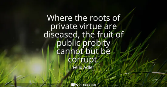 Small: Where the roots of private virtue are diseased, the fruit of public probity cannot but be corrupt