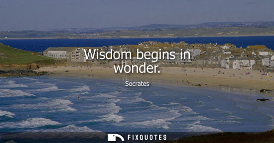 Small: Wisdom begins in wonder - Socrates
