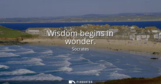 Small: Wisdom begins in wonder