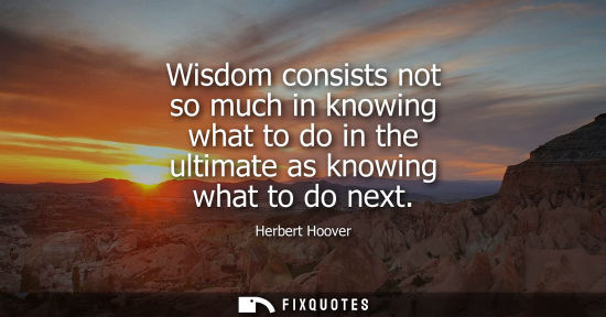 Small: Wisdom consists not so much in knowing what to do in the ultimate as knowing what to do next