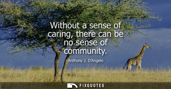 Small: Without a sense of caring, there can be no sense of community - Anthony J. DAngelo