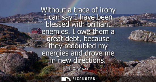 Small: Without a trace of irony I can say I have been blessed with brilliant enemies. I owe them a great debt, becaus