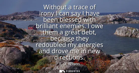 Small: Without a trace of irony I can say I have been blessed with brilliant enemies. I owe them a great debt, becaus