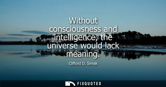 Small: Without consciousness and intelligence, the universe would lack meaning