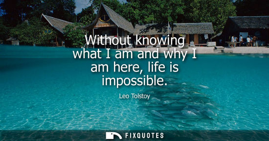 Small: Without knowing what I am and why I am here, life is impossible
