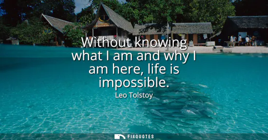Small: Without knowing what I am and why I am here, life is impossible