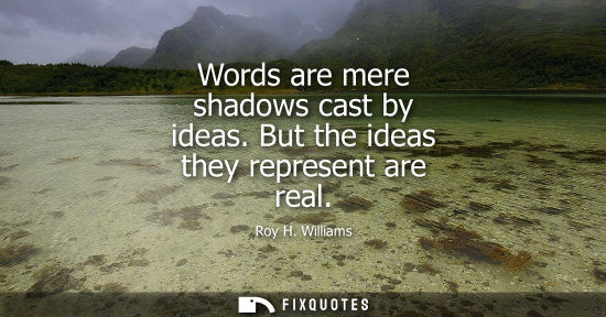 Small: Words are mere shadows cast by ideas. But the ideas they represent are real