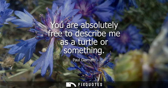 Small: You are absolutely free to describe me as a turtle or something