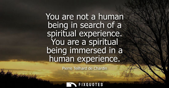 Small: You are not a human being in search of a spiritual experience. You are a spiritual being immersed in a human e