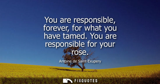 Small: You are responsible, forever, for what you have tamed. You are responsible for your rose - Antoine de Saint-Ex