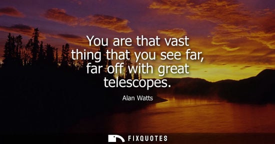 Small: You are that vast thing that you see far, far off with great telescopes