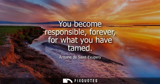 Small: You become responsible, forever, for what you have tamed - Antoine de Saint-Exupery