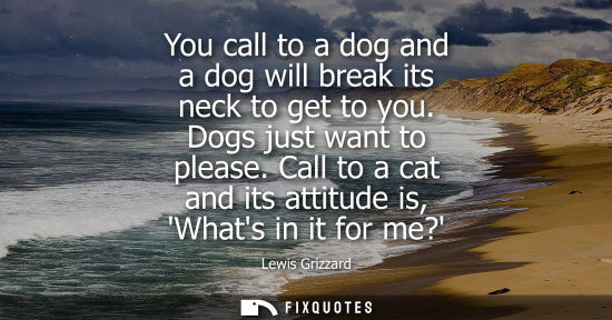 Small: You call to a dog and a dog will break its neck to get to you. Dogs just want to please. Call to a cat 