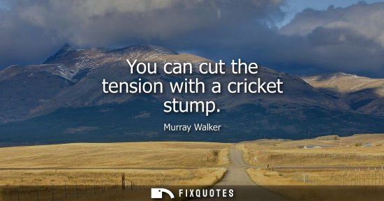 Small: You can cut the tension with a cricket stump