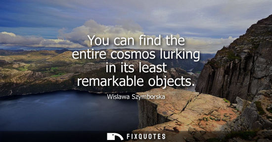Small: You can find the entire cosmos lurking in its least remarkable objects
