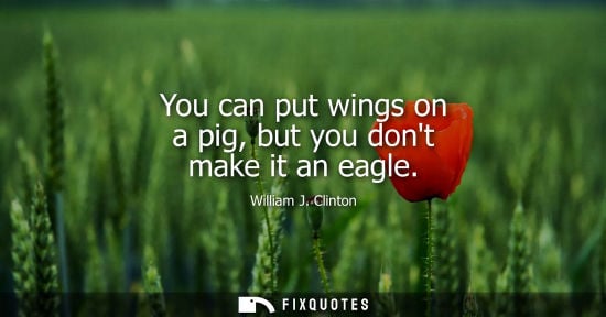 Small: You can put wings on a pig, but you dont make it an eagle