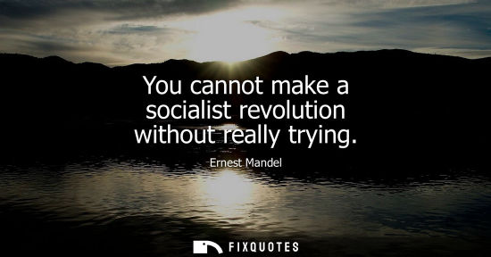 Small: You cannot make a socialist revolution without really trying - Ernest Mandel