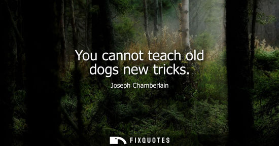 Small: You cannot teach old dogs new tricks