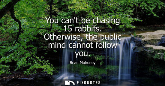 Small: You cant be chasing 15 rabbits. Otherwise, the public mind cannot follow you