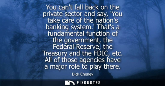 Small: You cant fall back on the private sector and say, You take care of the nations banking system.