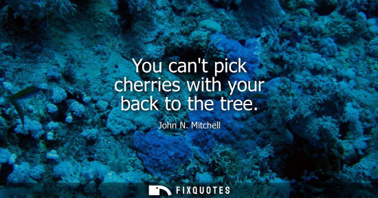 Small: John N. Mitchell: You cant pick cherries with your back to the tree