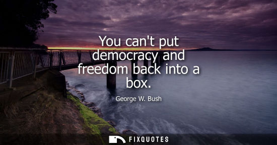 Small: You cant put democracy and freedom back into a box