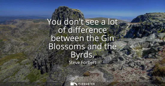 Small: You dont see a lot of difference between the Gin Blossoms and the Byrds