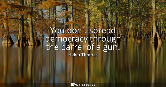 Small: You dont spread democracy through the barrel of a gun