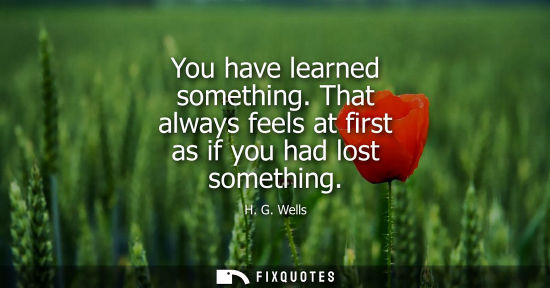 Small: You have learned something. That always feels at first as if you had lost something - H.G. Wells