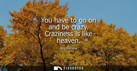 Small: Jimi Hendrix - You have to go on and be crazy. Craziness is like heaven