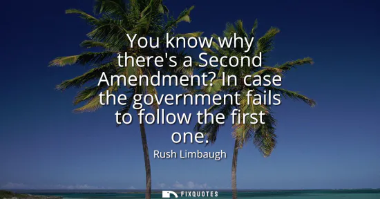 Small: You know why theres a Second Amendment? In case the government fails to follow the first one