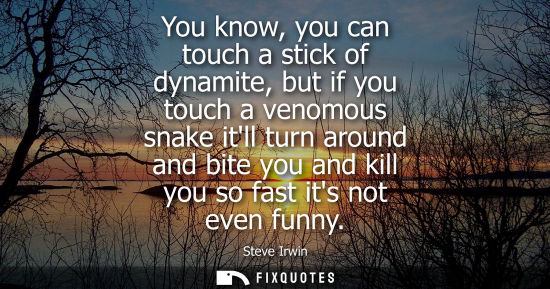 Small: Steve Irwin: You know, you can touch a stick of dynamite, but if you touch a venomous snake itll turn around a
