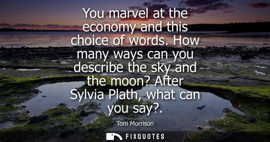 Small: You marvel at the economy and this choice of words. How many ways can you describe the sky and the moon