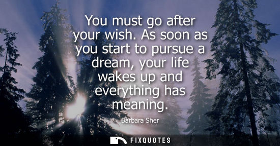 Small: You must go after your wish. As soon as you start to pursue a dream, your life wakes up and everything 
