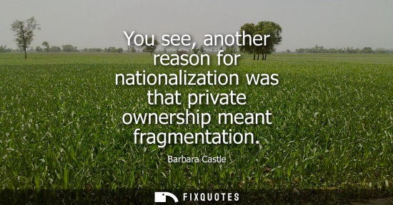 Small: You see, another reason for nationalization was that private ownership meant fragmentation