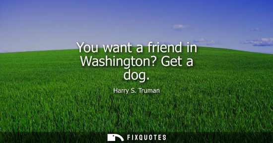Small: You want a friend in Washington? Get a dog