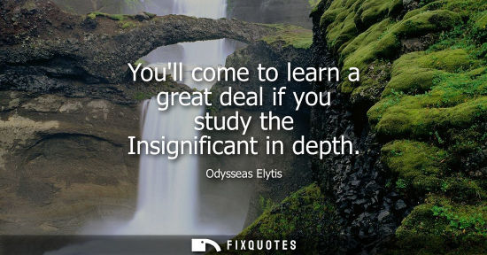 Small: Youll come to learn a great deal if you study the Insignificant in depth