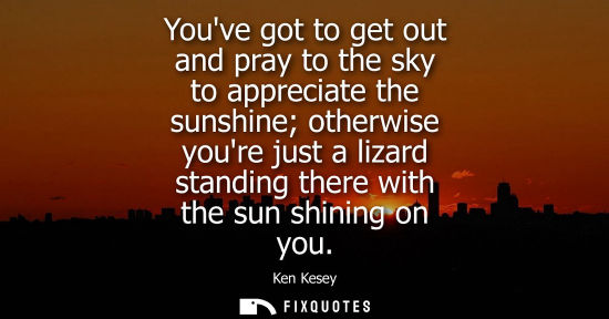 Small: Youve got to get out and pray to the sky to appreciate the sunshine otherwise youre just a lizard stand
